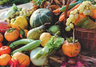 Legumes de saison automne